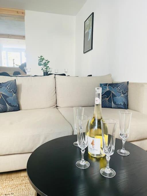 Apartment Elegant Et Spacieux 3 Pieces Cosy *